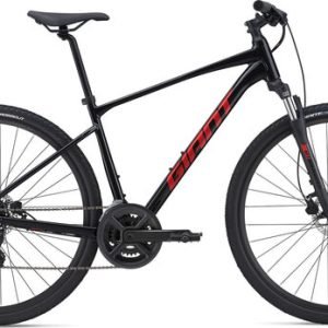 Giant


Roam 4 Disc