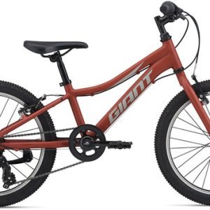 KATA FOTKA | Specialized
P.1 Trail KATA FOTKA | Specialized
P.1 Trail